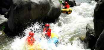 朝天吼品牌价值2189亿元！(图1)