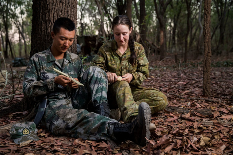 东西问丨张同作：可可西里“无人区”如何让“生命树”常青？(图1)