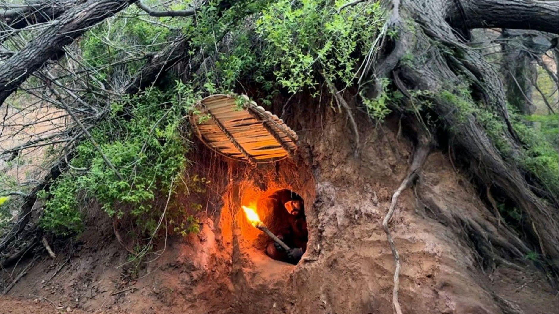 西藏野生动物保护园成功救助罕见雪豹三胞胎(图1)