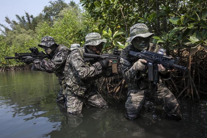 他们用基因组解码藏羚羊“生死曲线”(图1)