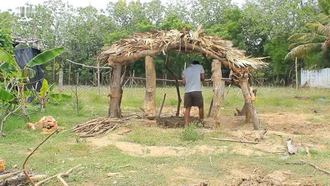 咬伤滑游客雪豹又“犯案”咬死35只羊!当地：已捕获系2岁左右亚成体(图1)