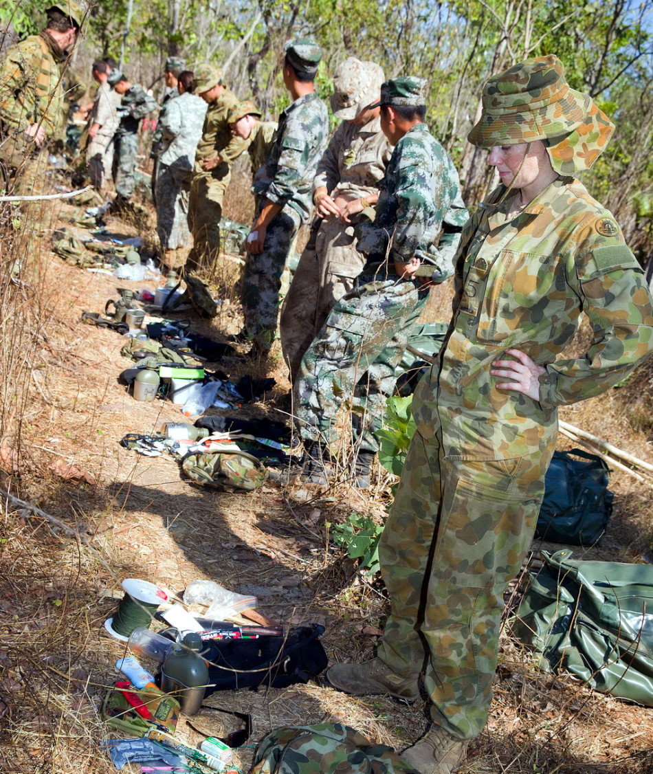 越西申果庄自然保护区：野生“滚滚”频繁上镜(图1)