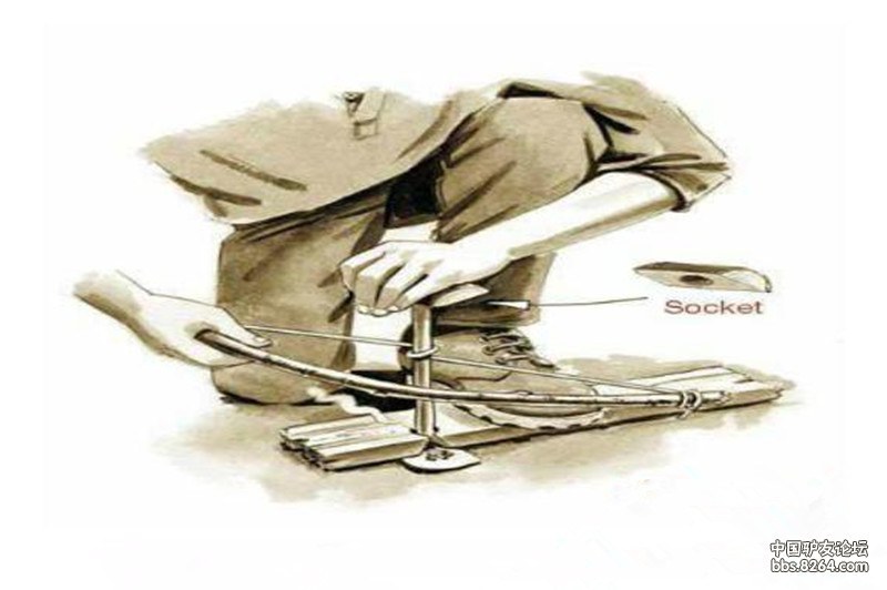 吉林珲春守护迁飞通道丰富多元业态(图1)