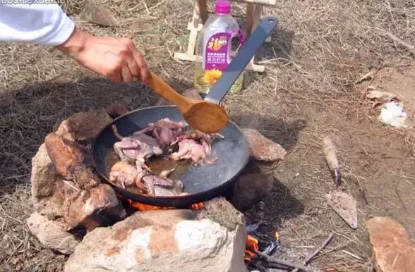 一粒盐的教训：张家界求生赛的真实代价(图1)