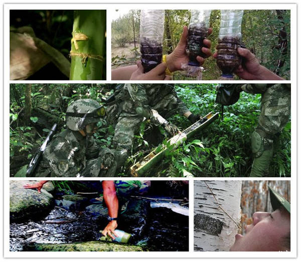 乐昌市：顺利开展国家二级保护鸟类野外放归活动(图1)