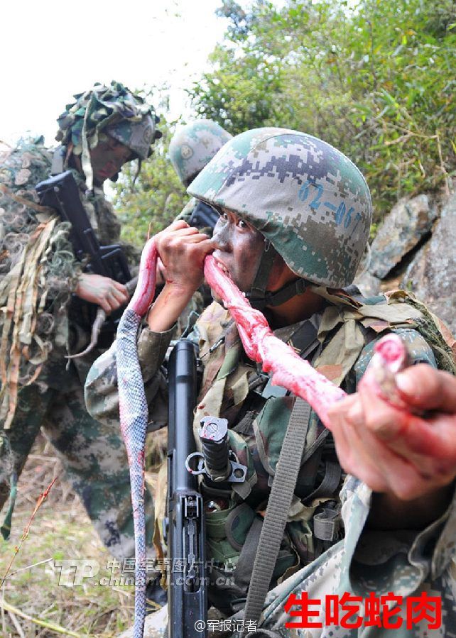 东方白鹳受伤无法飞行吉林多方救治助其脱险