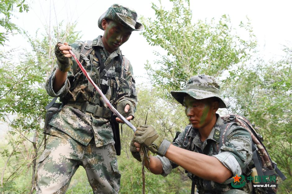 不能放任荒野求生挑战赛一路狂奔了“规范管理”的声音应该被听到