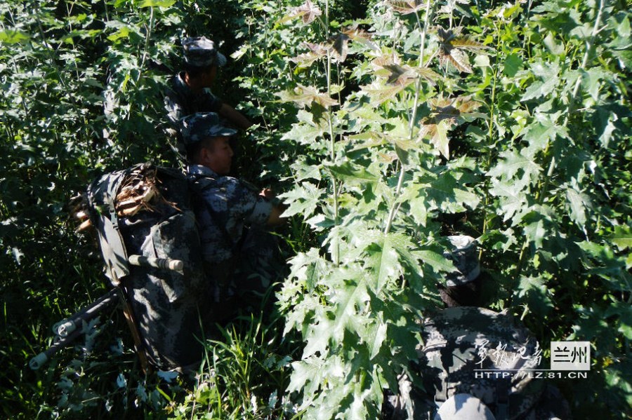 荒野最精致男人再立flag(图1)