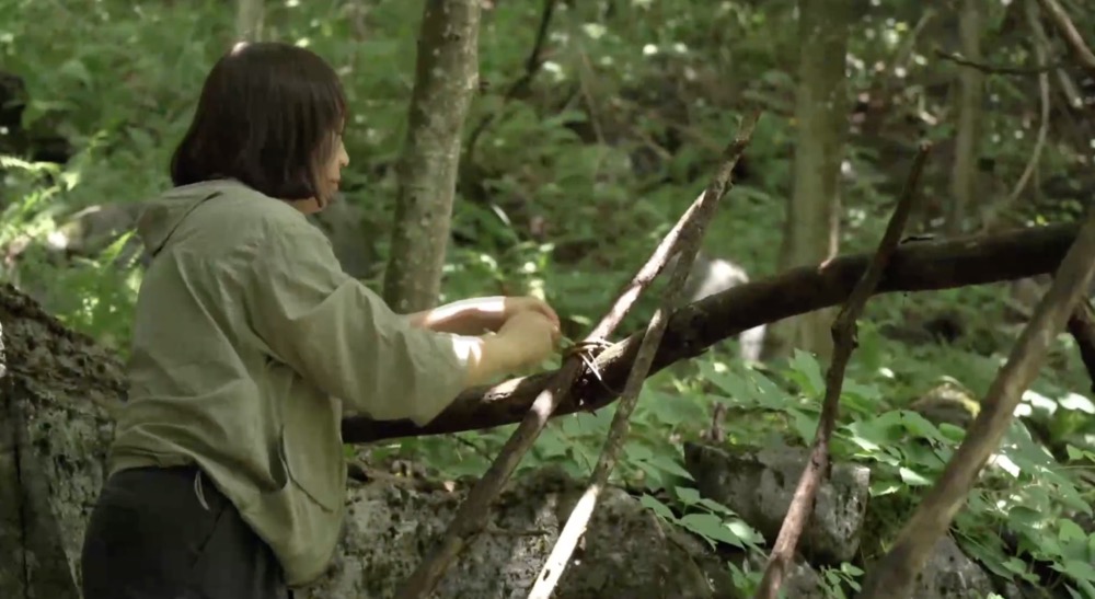 荒野求生太“上头”？且慢请先收下这份避坑指南(图1)