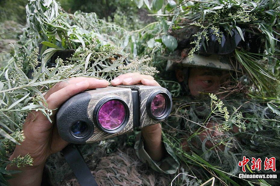 互花米草防治进入“下半场”长效管控如何发力？(图1)