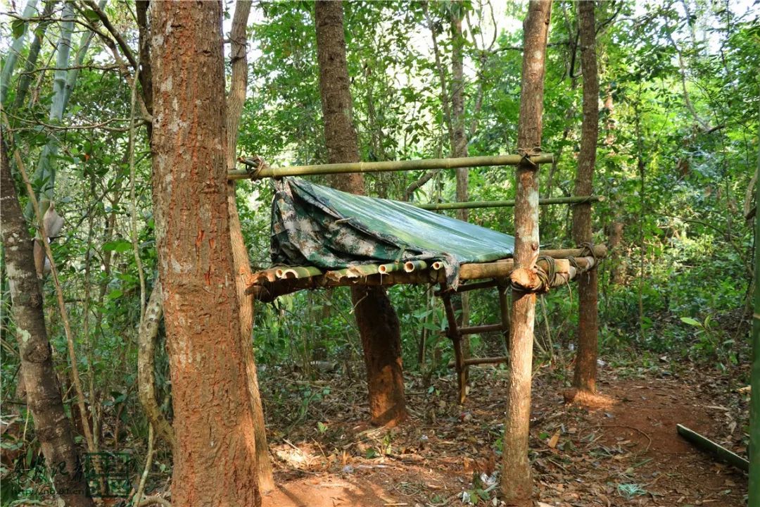 “探险”变“遇险”别让户外活动成荒野赌局(图1)