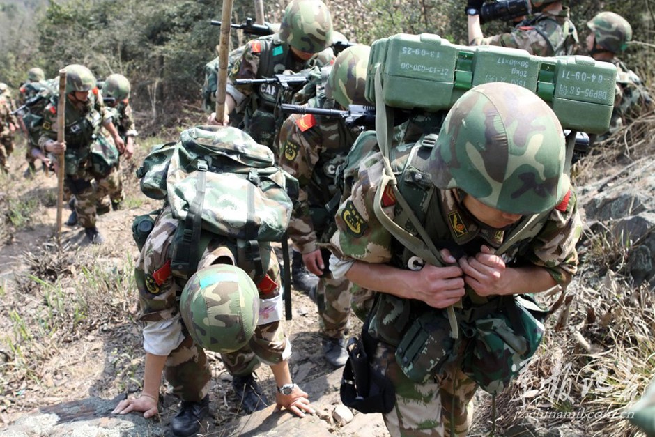 当“荒野求生”碰撞流量与规则的边界这场百亿级挑战赛为何提前结束？