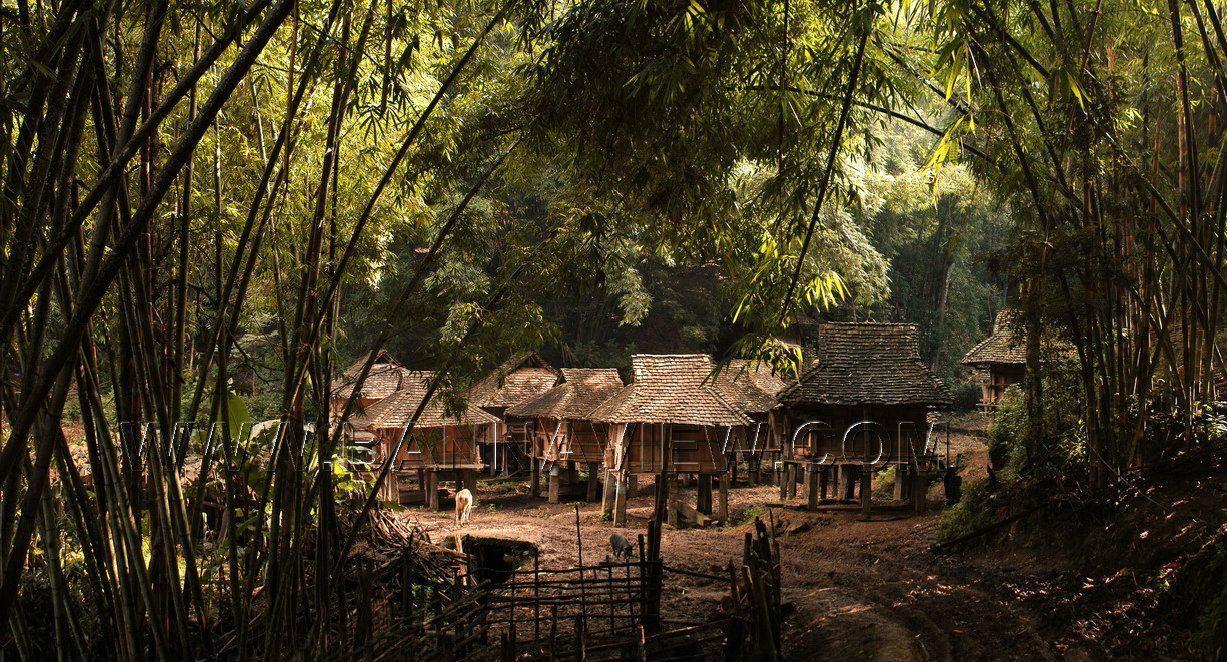 “荒野求生赛”多场赛事被叫停为何?存在哪些问题?(图1)