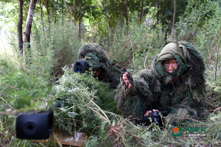 03年中国将5只老虎放到非洲草原繁衍到15只老虎却没办法回国