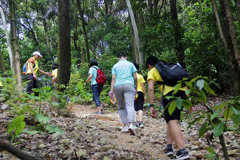 暖心救助！三明这地派出所成功救助国家二级保护动物