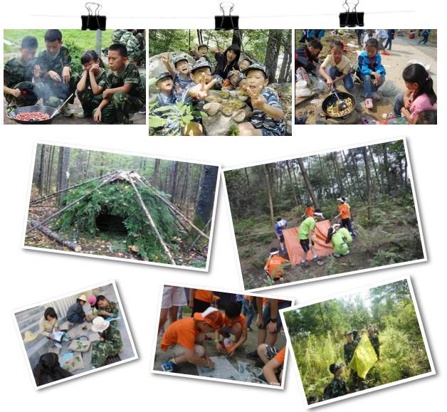 村民钓鱼发现一只受伤的鸟竟是“世界上最神秘的鸟”比大熊猫还稀少