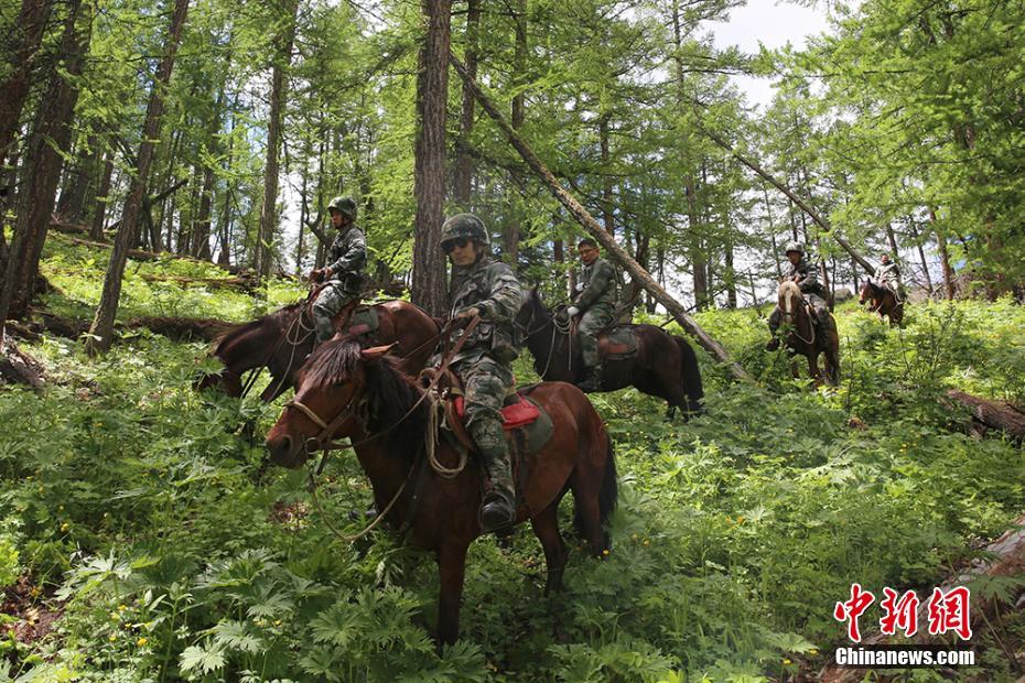 五台山：野生动物“朋友圈”持续刷新