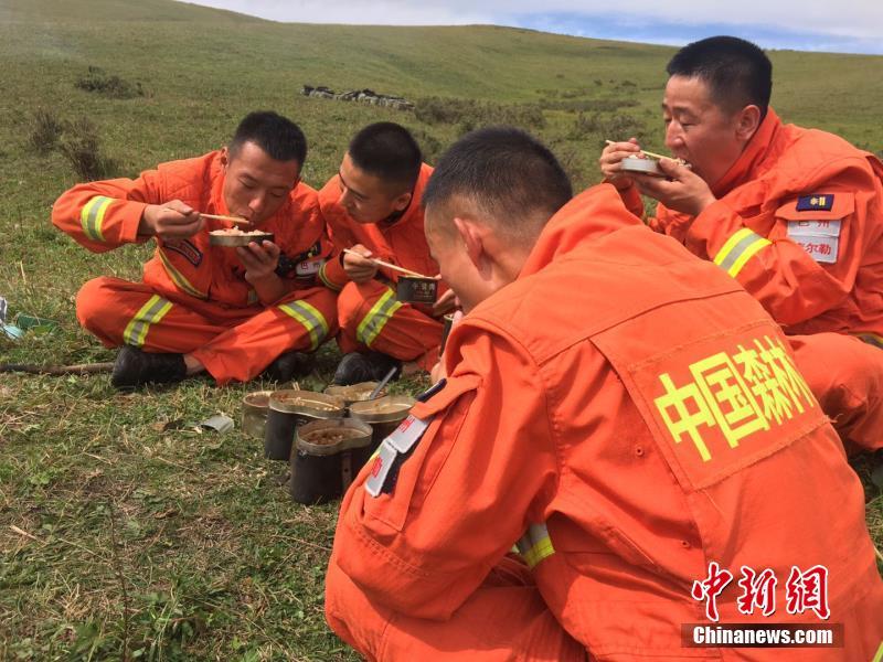 建阳：爱心接力！山麂重归自然怀抱