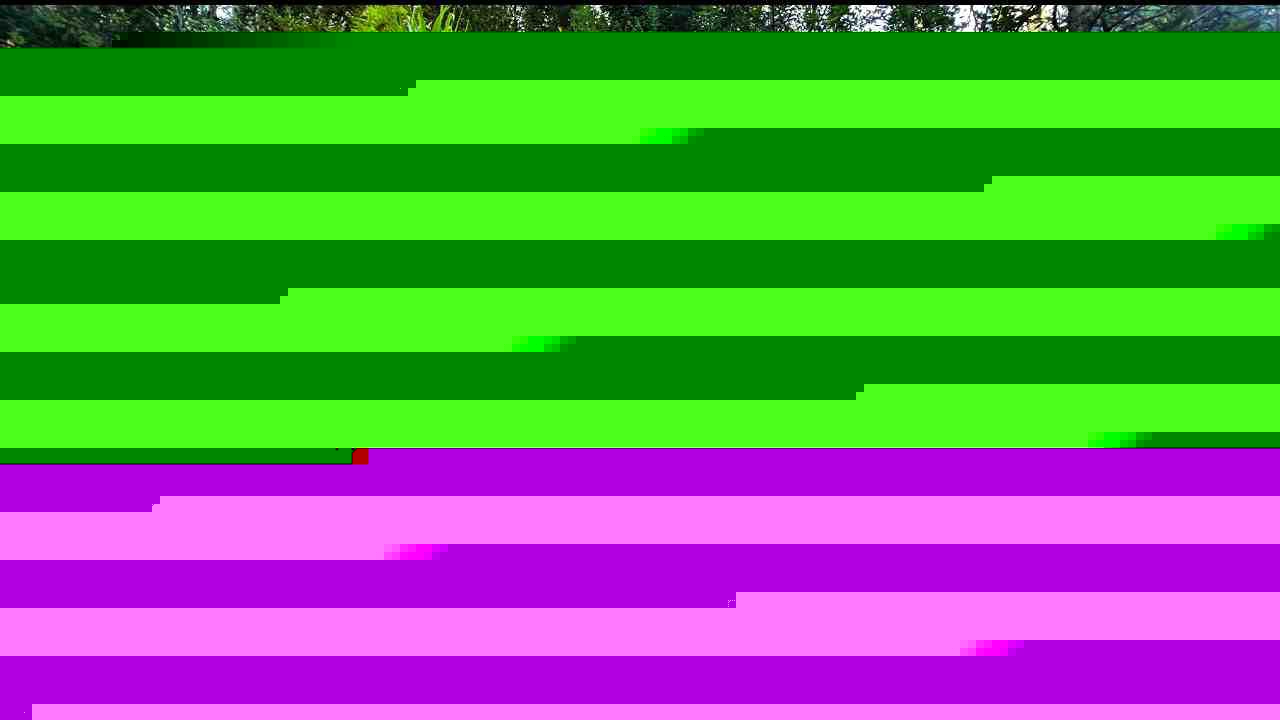 食物链顶端“大佬”：看似威风实则全是生存套路(图1)