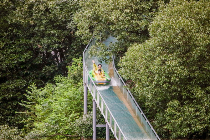 第十代宝可梦《宝可梦风波》正式官宣！御三家公布、画面惊人