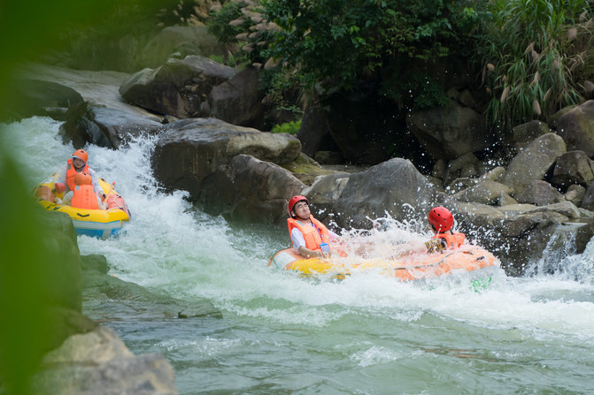 第十世代【宝可梦】官宣新御三家曝光颜值拉满超可爱！