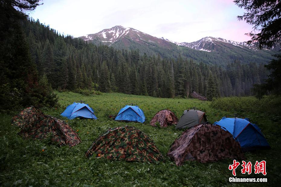 “燕赵山海·公益检察”专项监督三周年“百案展示”(一)