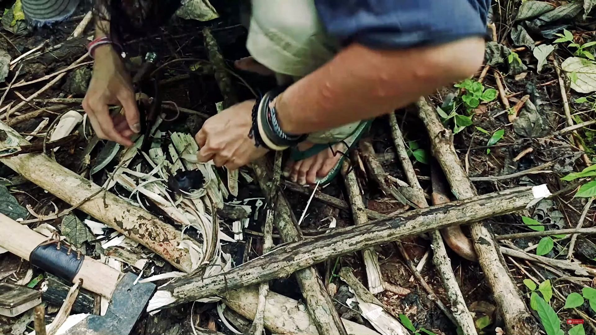 春日暖遇昆明警方接连救助多只野生动物