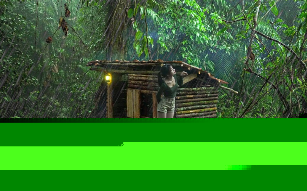 云开山保护区“解锁”中华桫椤科研保护新成果