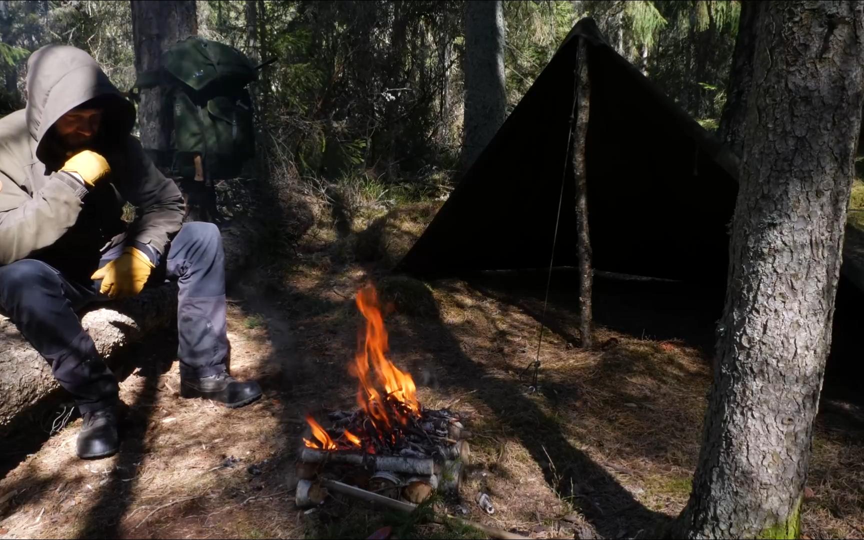 拿命打卡？西藏野外惊现奇葩操作女子直面猛兽太离谱