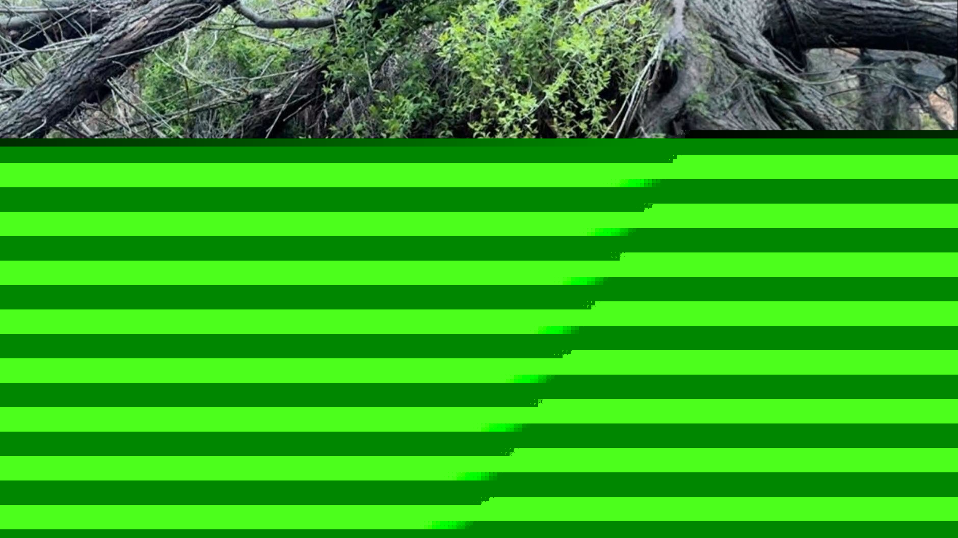 厦门：学生实地学习户外安全知识