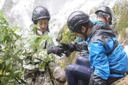 央视曝光：近150人组团夜爬封禁山峰为规避检查绕行野路路面遍布碎石多名10岁左右儿童随行；领队：手电筒尽量少开被逮着全得回去